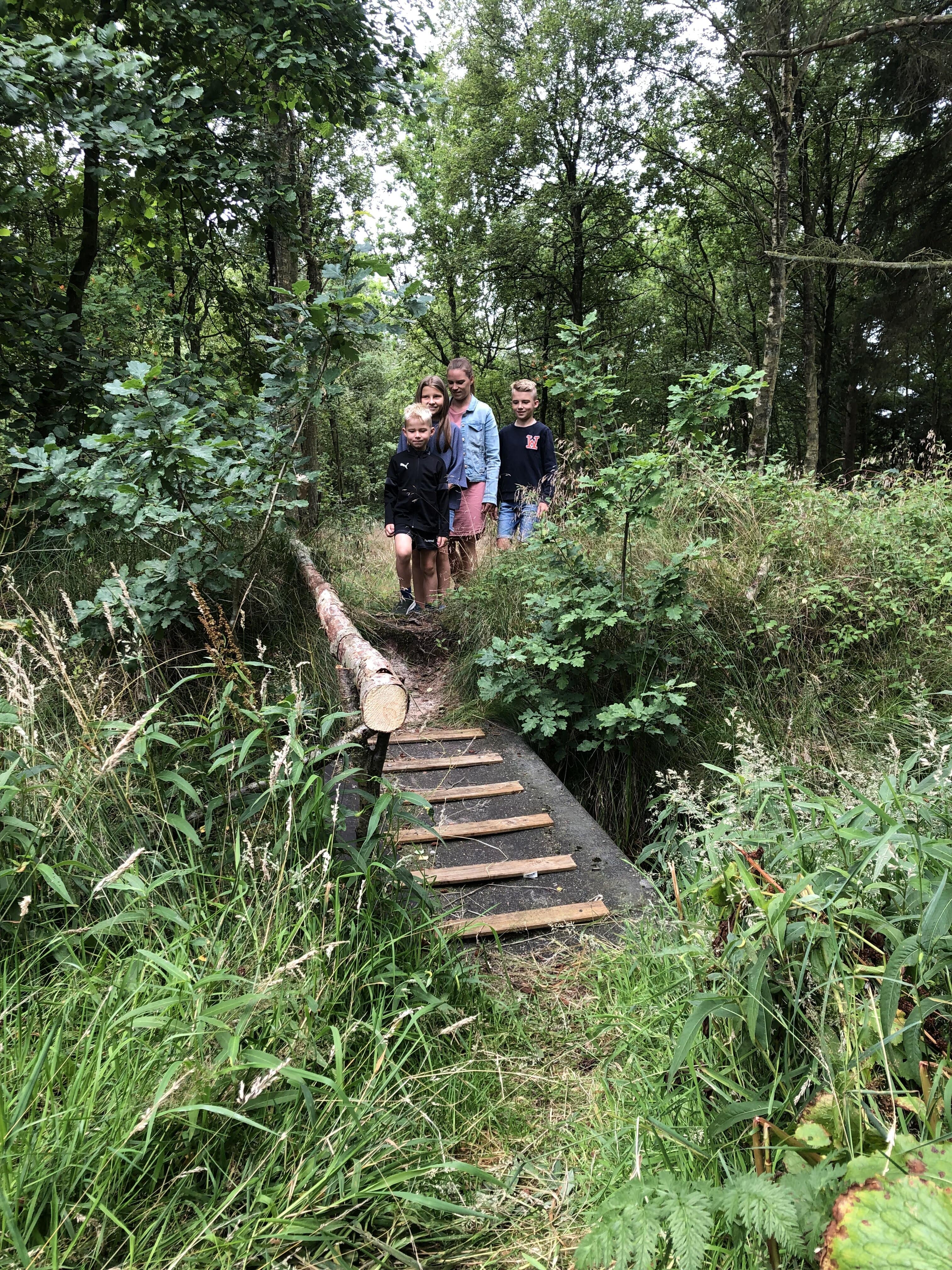 Tipperne Camping