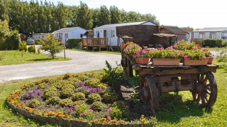 Camping Cap vert