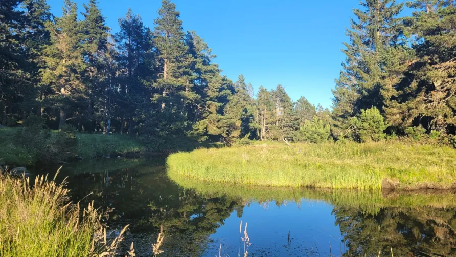 camping Le Petit Canada