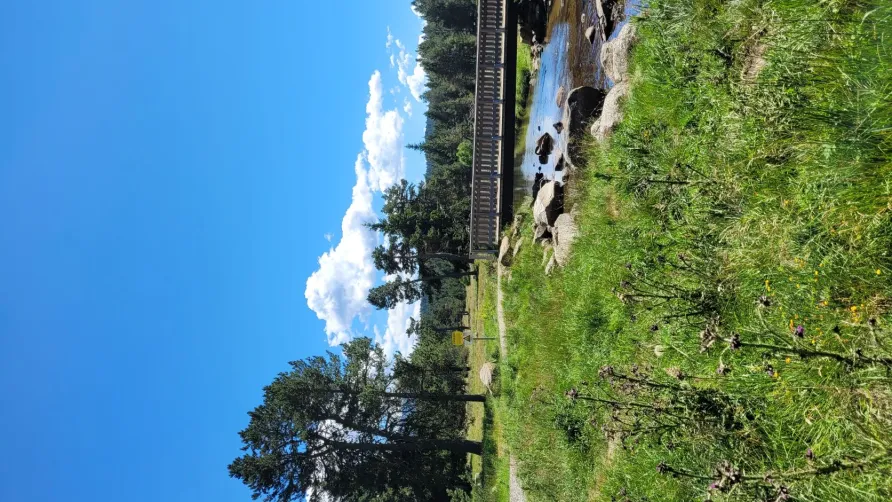 camping Le Petit Canada