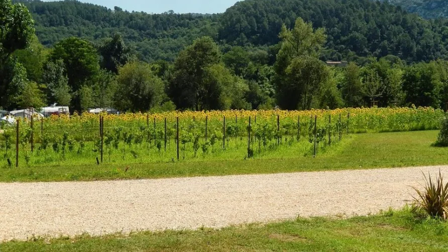Camping de L'Arche