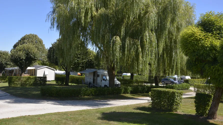 Camping Montmorency