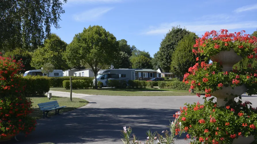 Camping Montmorency