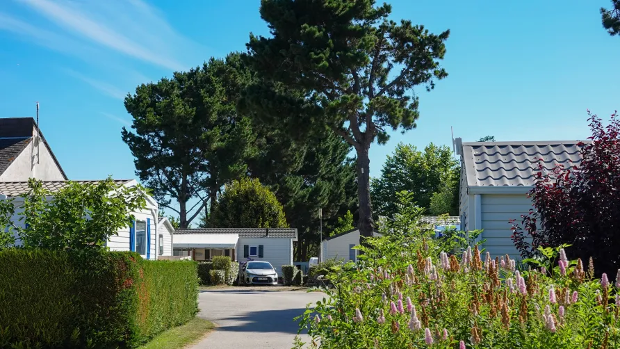 Camping Le Dolmen
