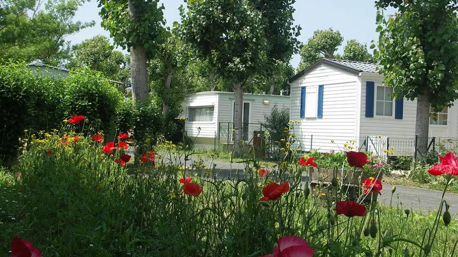 Camping Le Maine