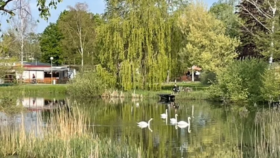 Camping Coeur d'Alsace