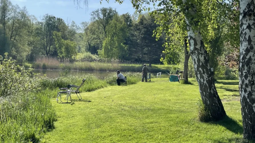 Camping Coeur d'Alsace