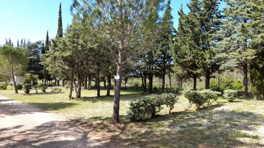 Camping Le Pinada
