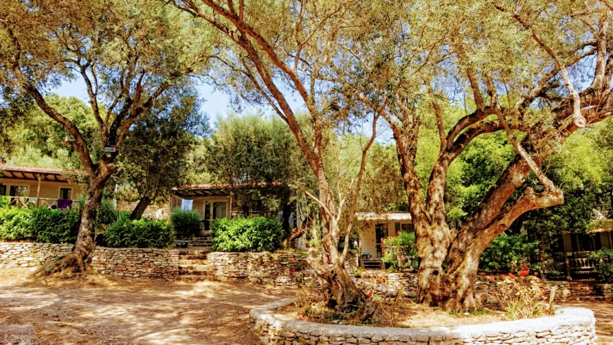 Campo di Liccia