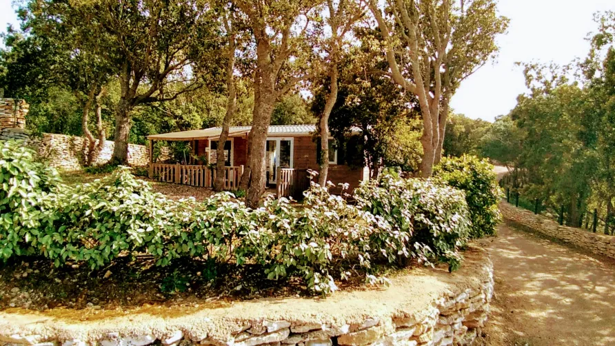 Campo di Liccia