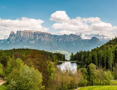 Schartner Alm