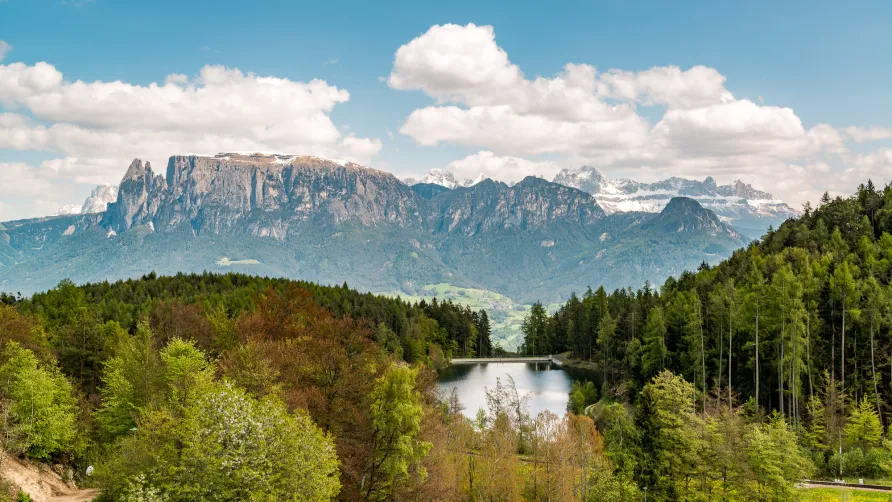 Schartner Alm