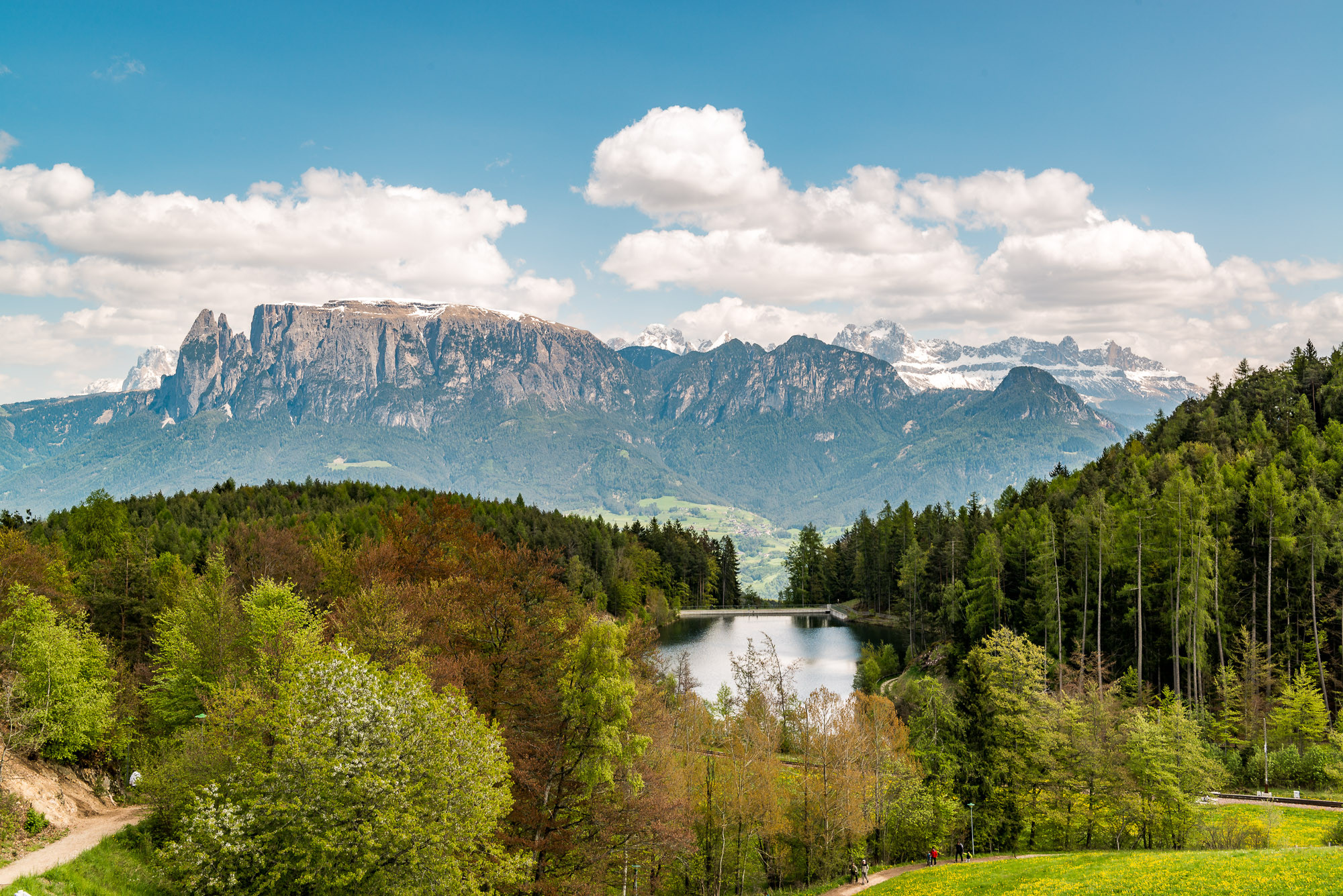 Schartner Alm