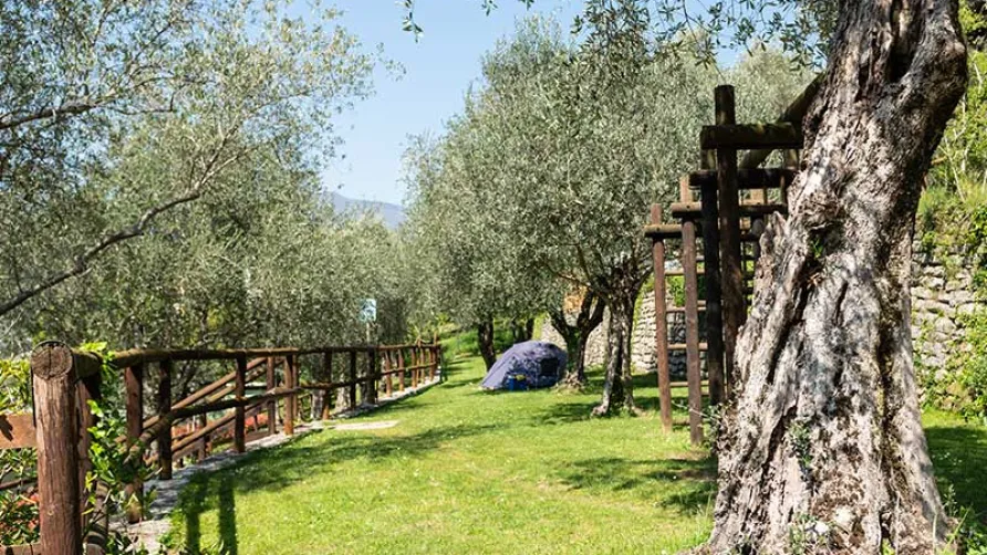 Camping Brione