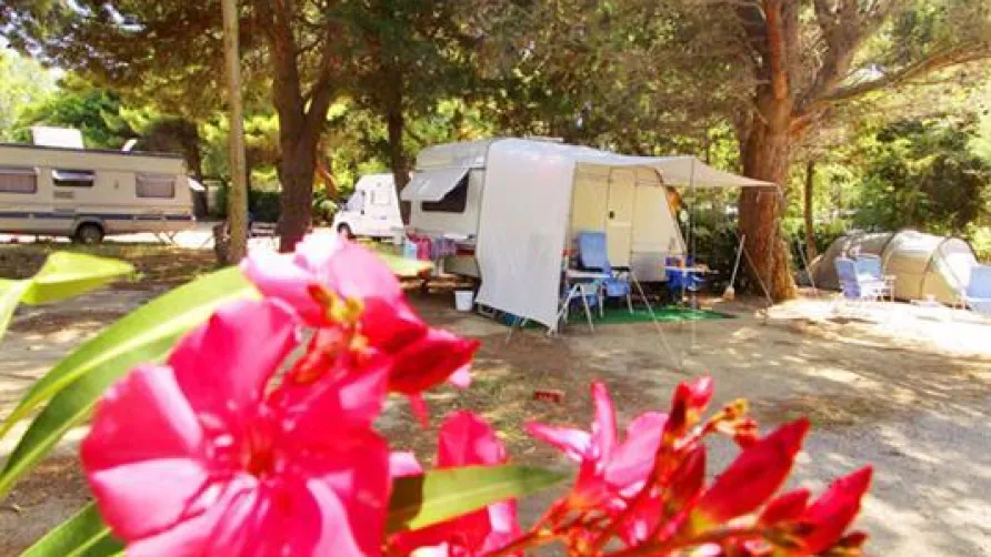 Camping Rives des Corbières