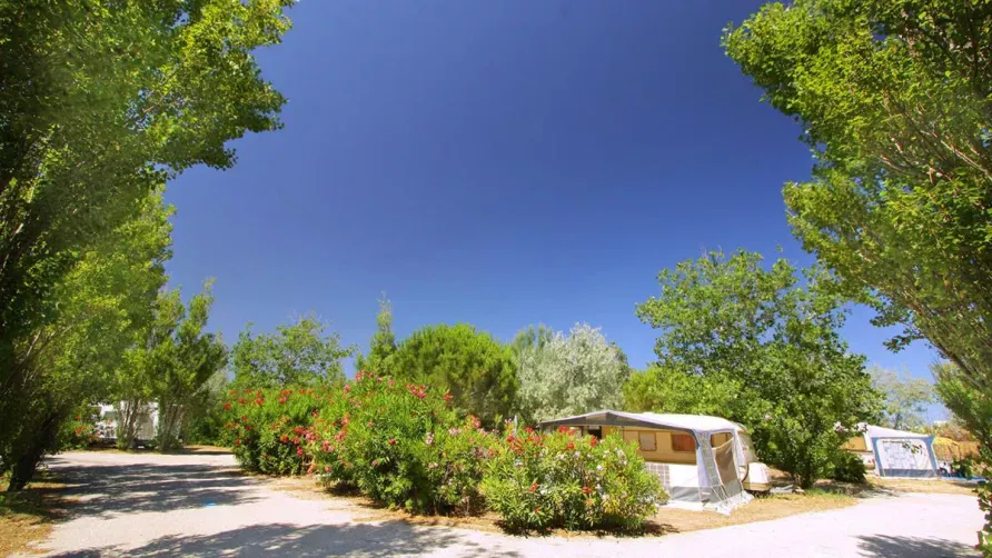 Camping Rives des Corbières