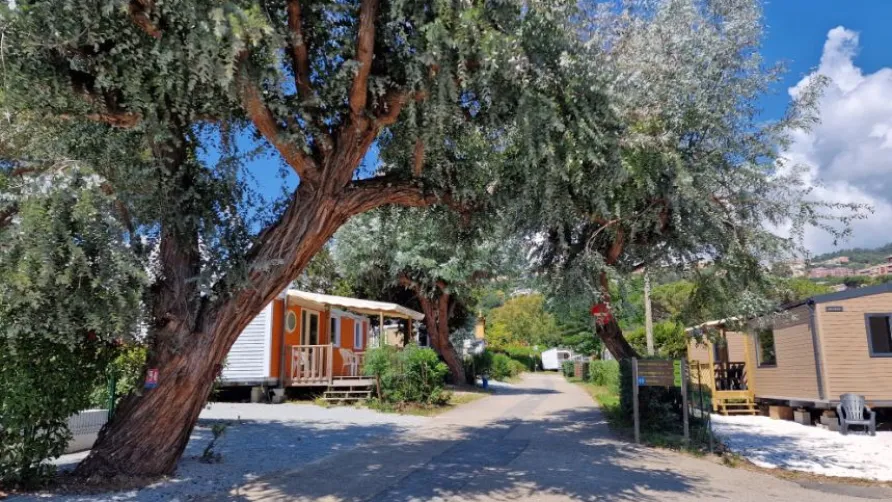 Camping la Provençale