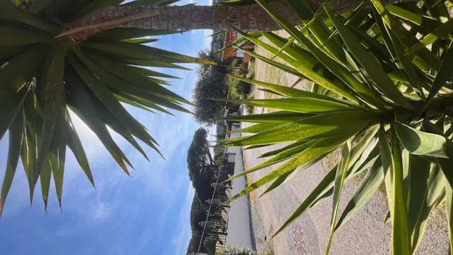 Camping la Provençale