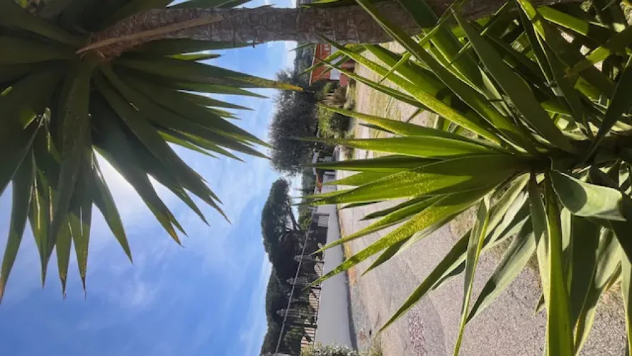 Camping la Provençale