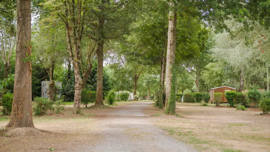 Camping Seasonova du Chêne