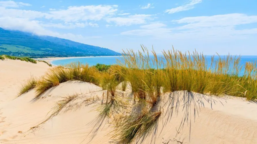 TAIGA Tarifa Punta Paloma