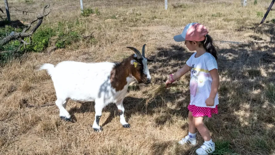 La Ferme de Fontenille