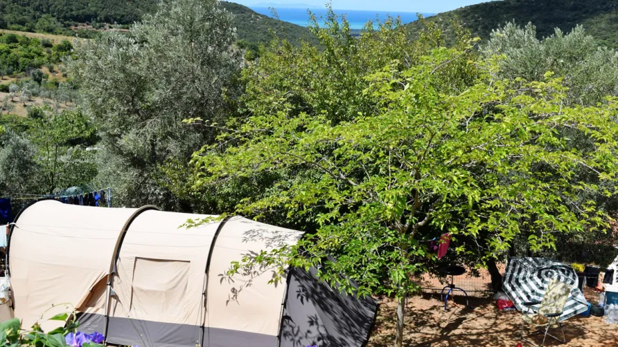 Camping Blucamp