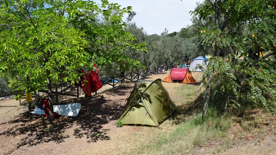 Camping Blucamp