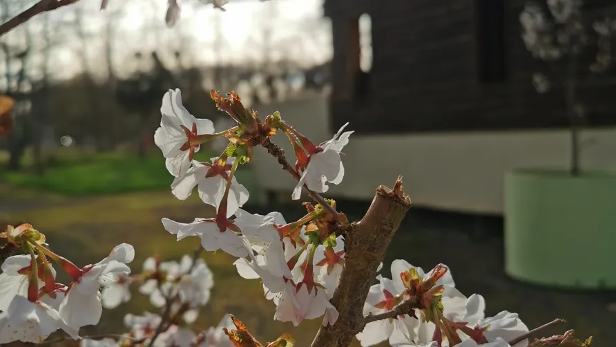 Camping La Vallée de l'Indre