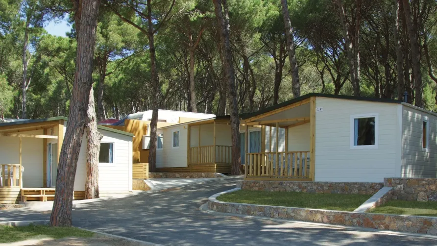 Camping Illa Mateua