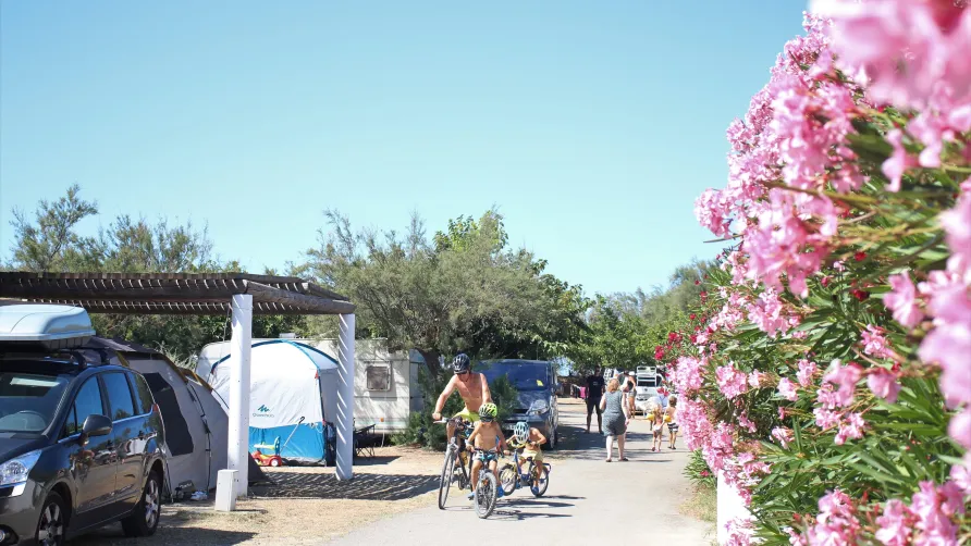 Camping Sunêlia Le Clos du Rhône