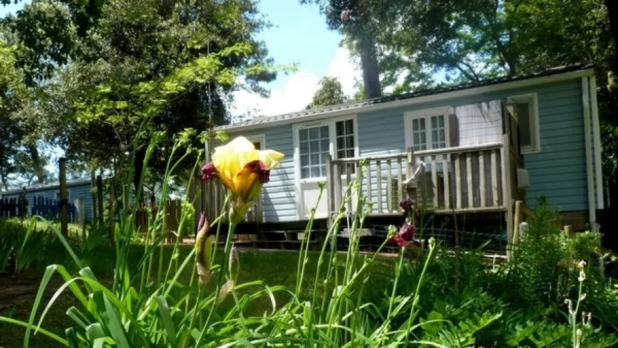 Camping le Pin Franc
