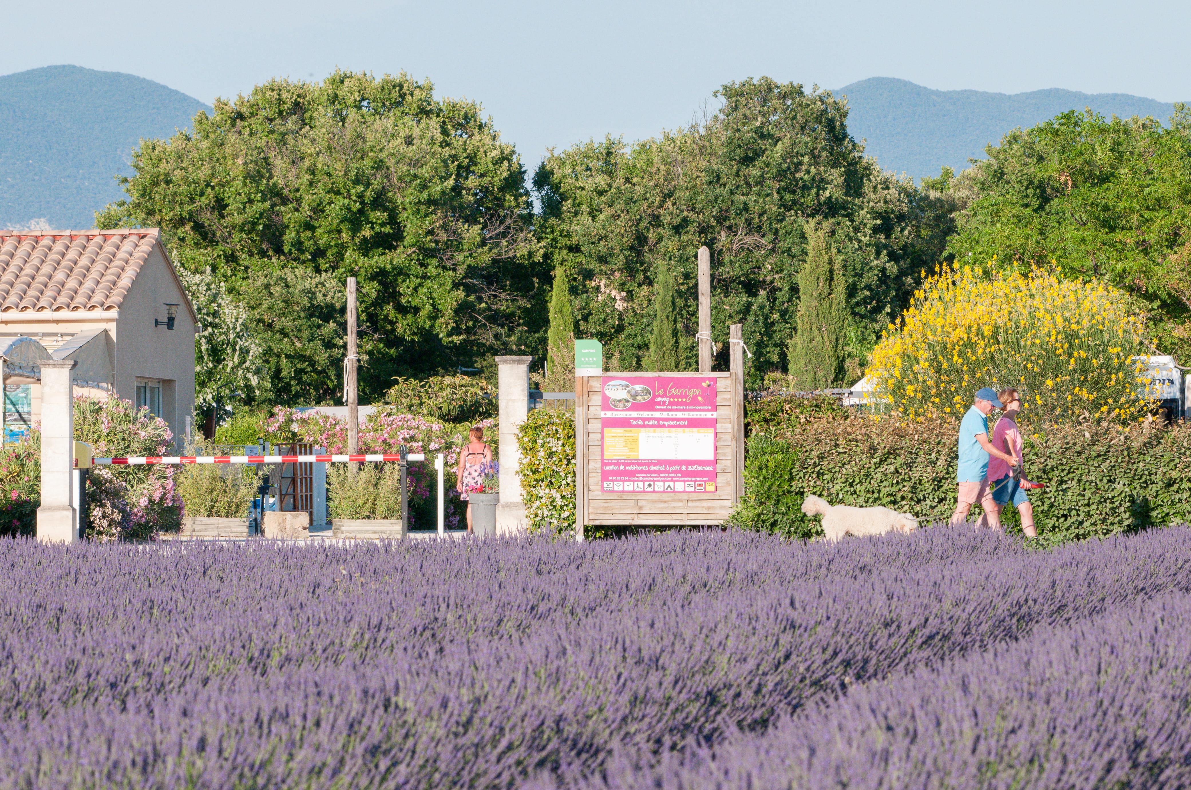 Camping Le Garrigon