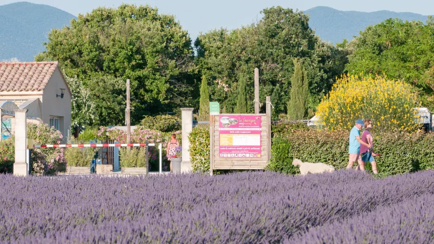 Camping Le Garrigon