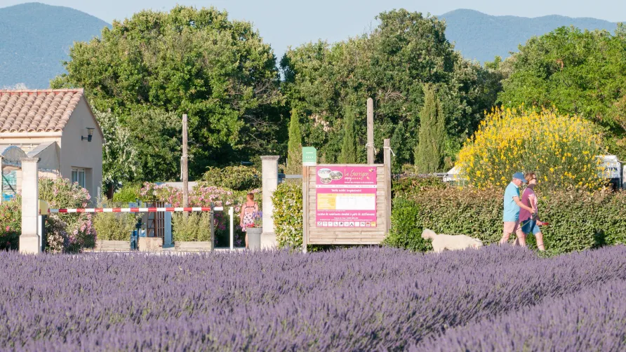 Camping Le Garrigon