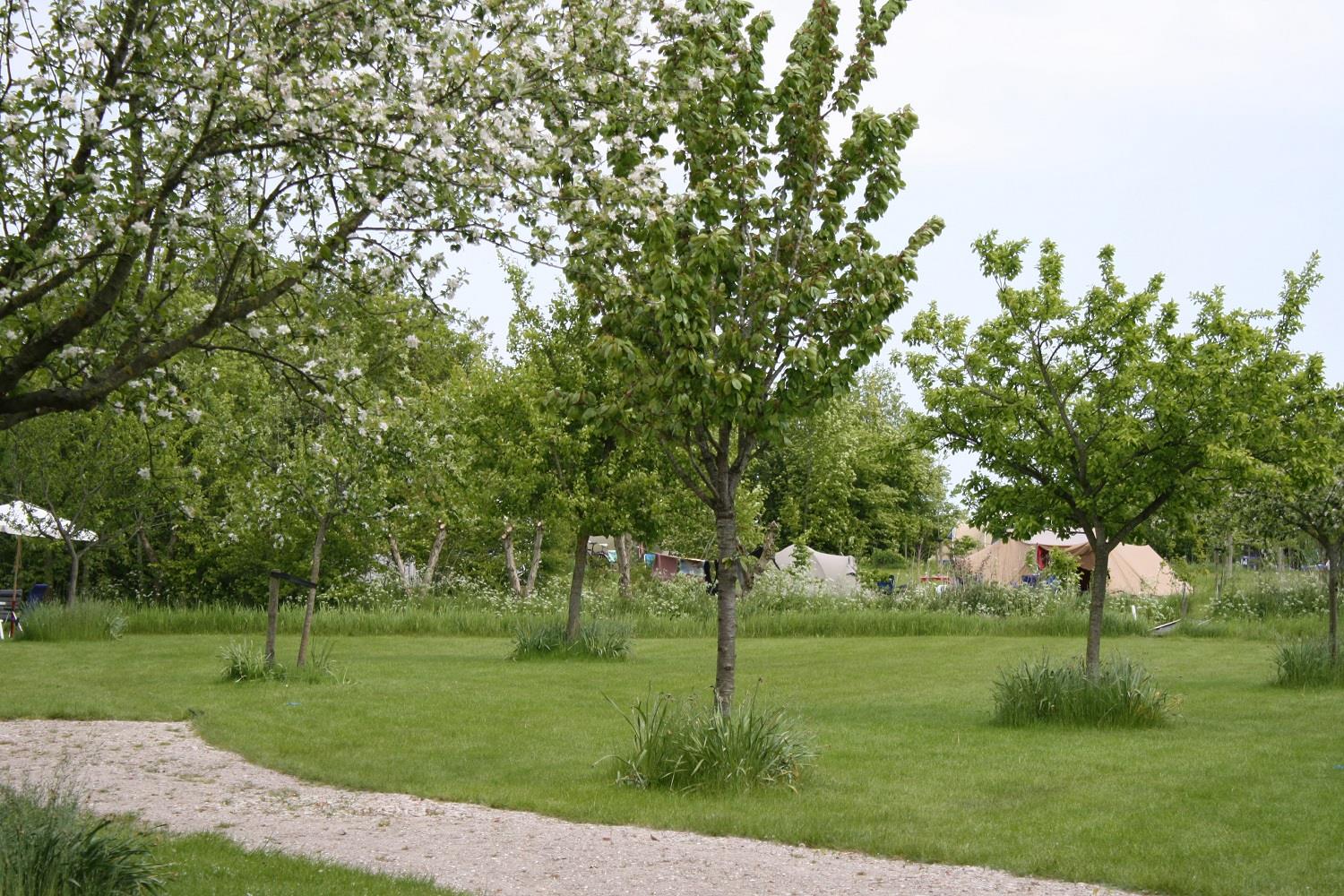 Camping Robersum