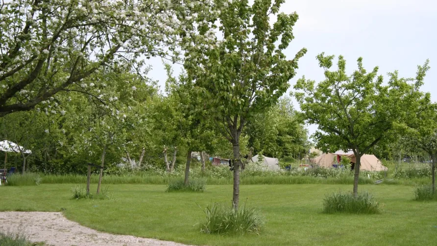 Camping Robersum
