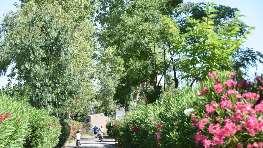 Camping & Spa CAP SOLEIL