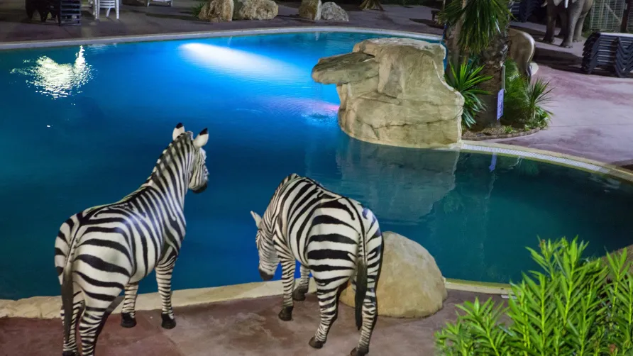 Camping & Spa CAP SOLEIL