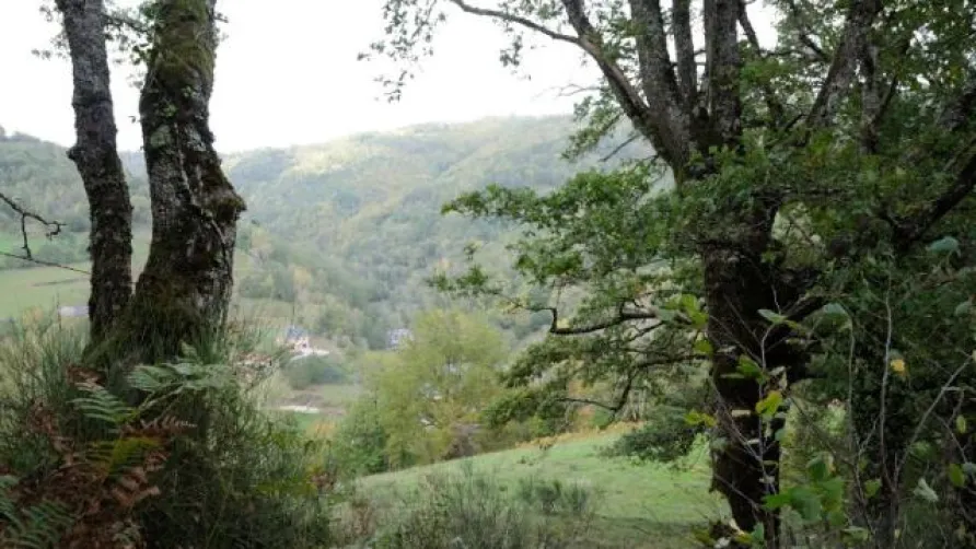 Camping glamping Terre Rouge