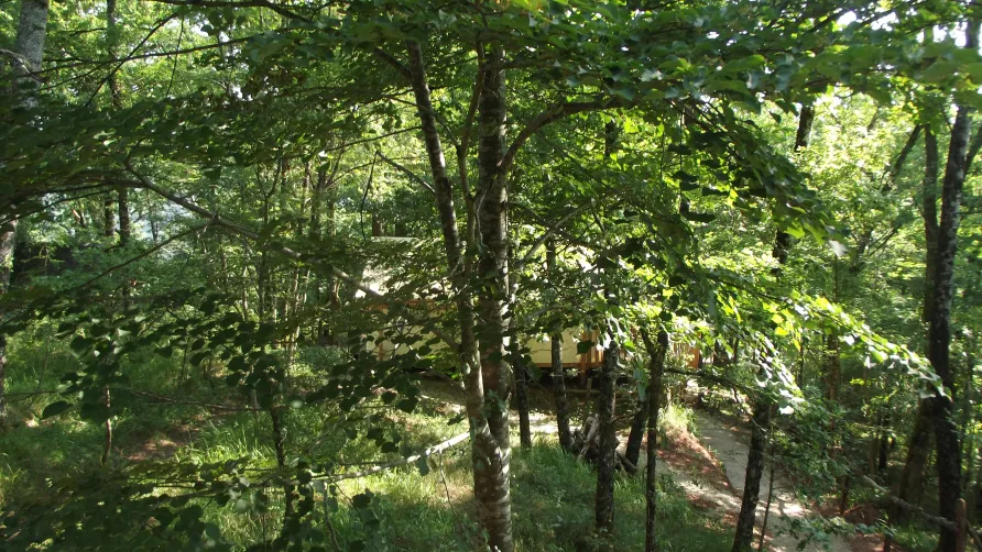 Camping glamping Terre Rouge