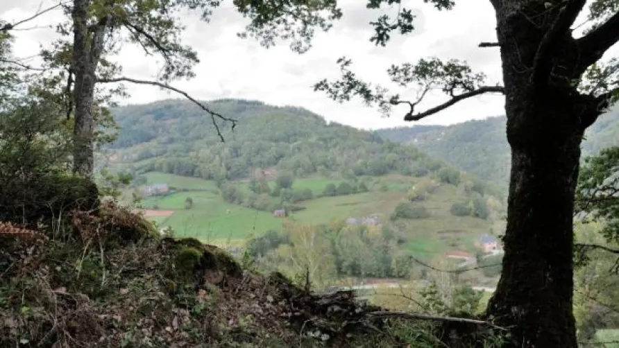 Camping glamping Terre Rouge