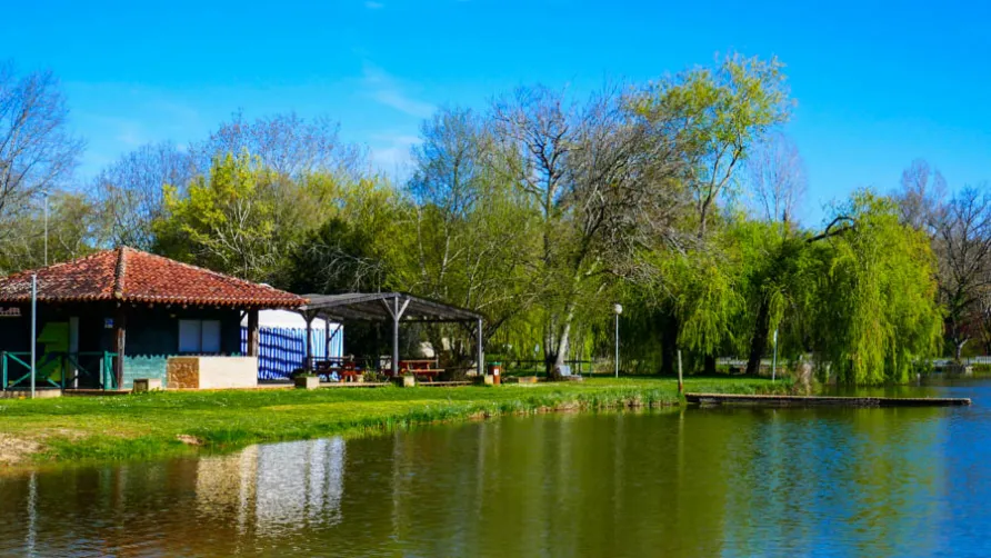 Camping Tente Simone