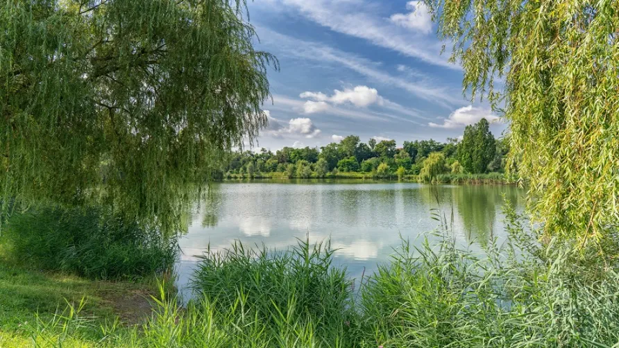 Camping am Hirschfeldsee - Sperrfechter Freizeitpark