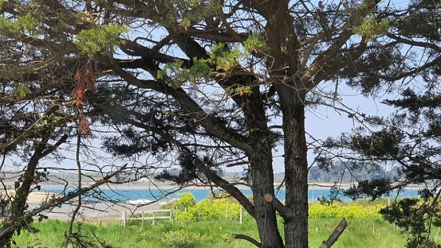 Camping PRESQU'ILE DE PENERF