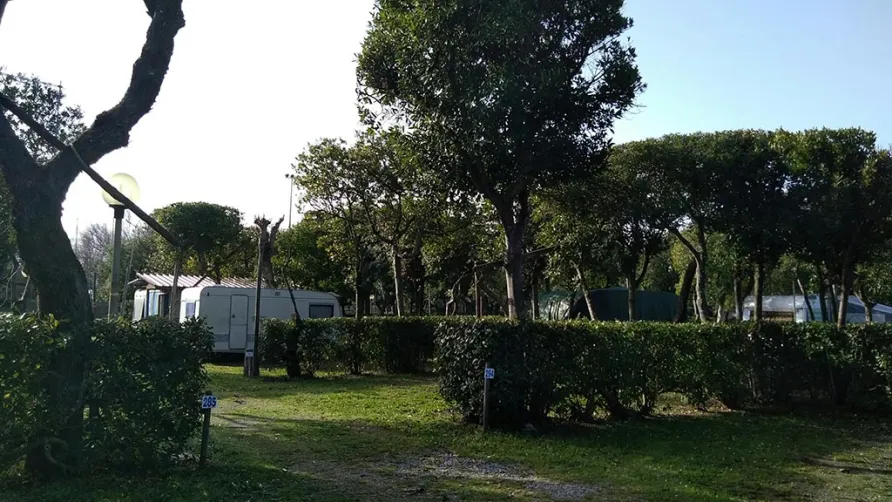 Campeggio Bocca di Cecina