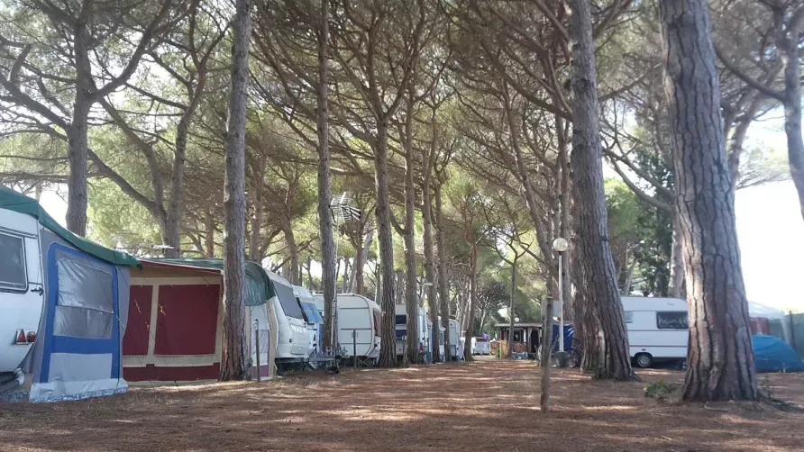 Campeggio Bocca di Cecina