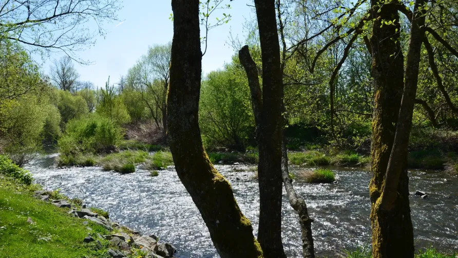 Camping De La Doller