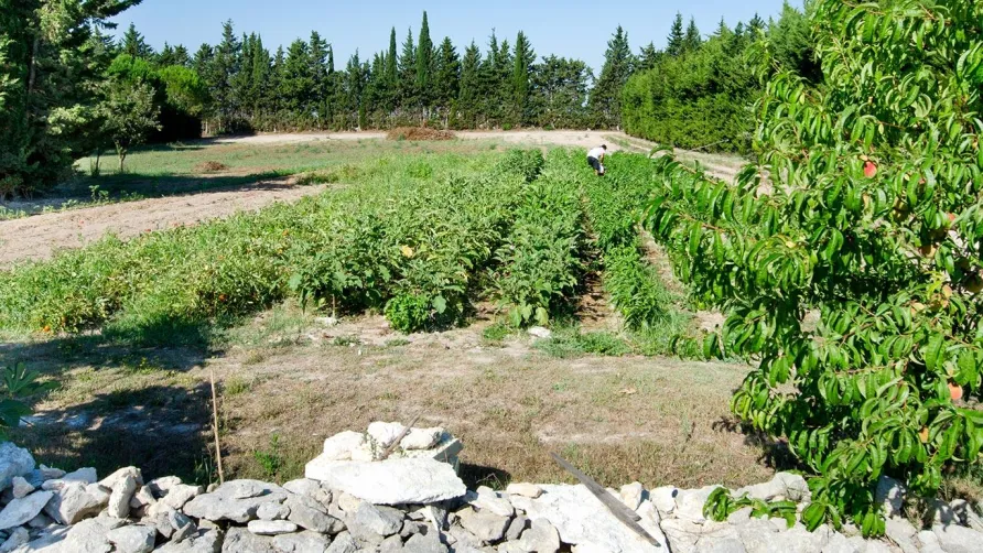 Agriturismo Malapezza