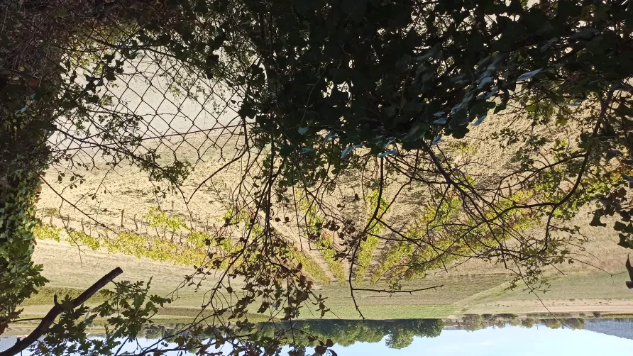 Camping Le Moulin à Vent